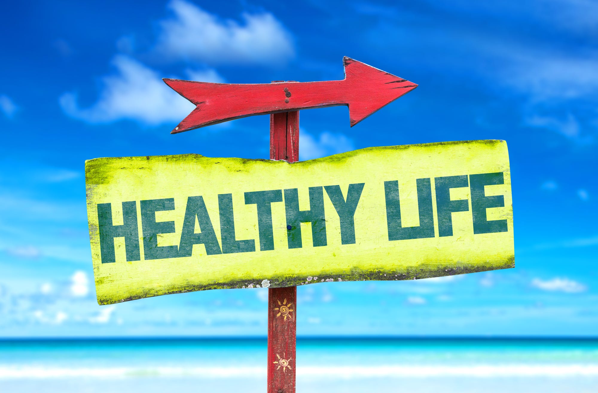 21 Tips On Living A Healthy Lifestyle By Iva Ursano Medium