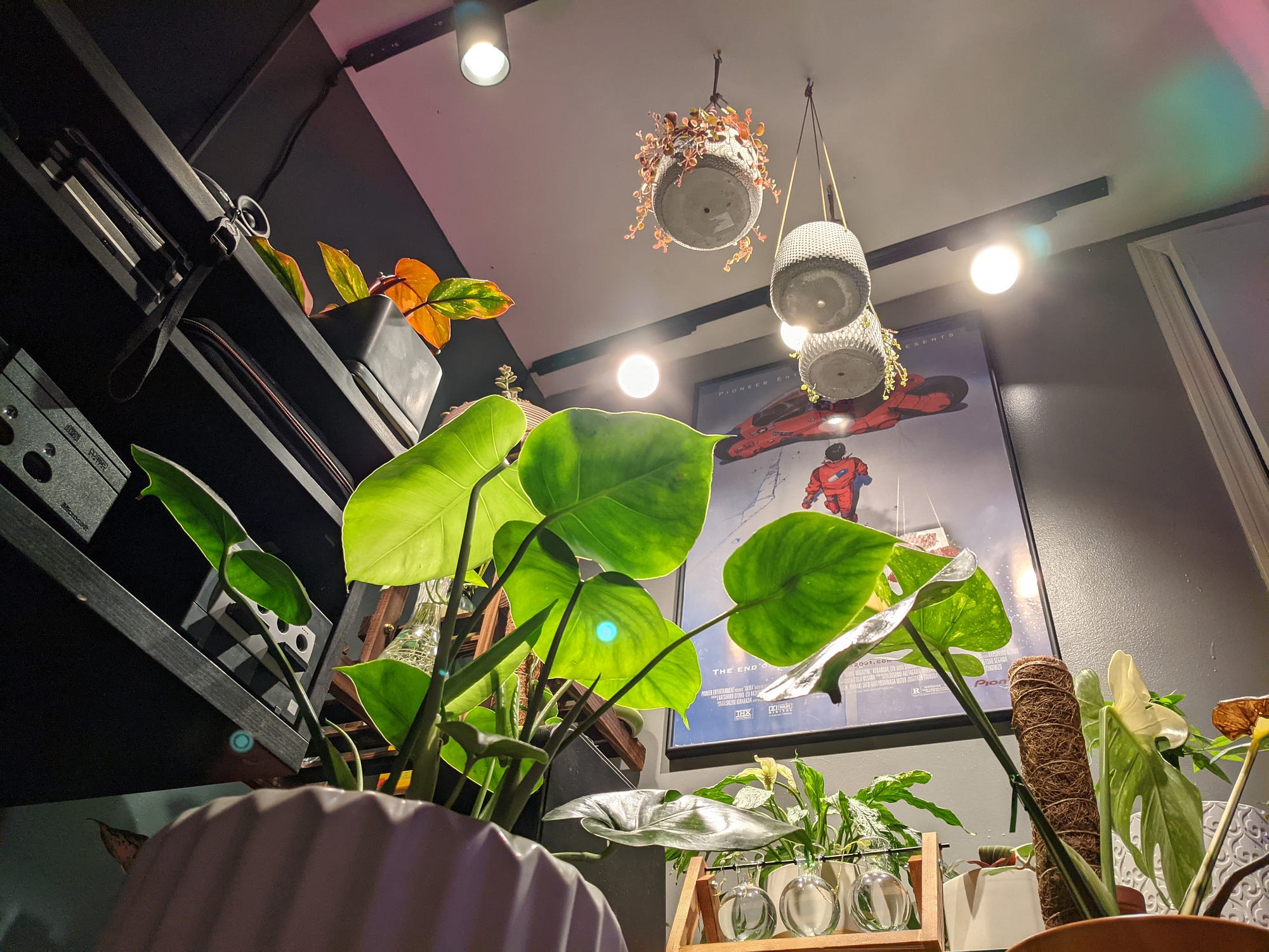 grow light soltech solutions