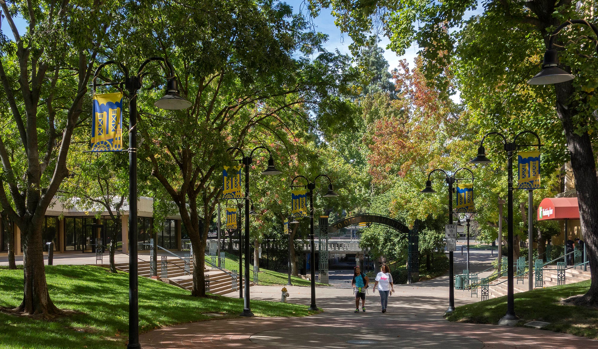 Sacramento, California’s ‘City of Trees’ by Mike McPhate The
