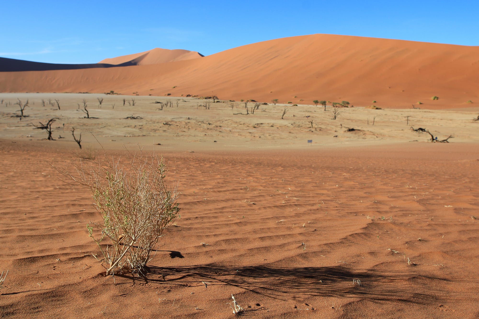 The Most Famous Landmark of Namibia by Anne Bonfert World Traveler