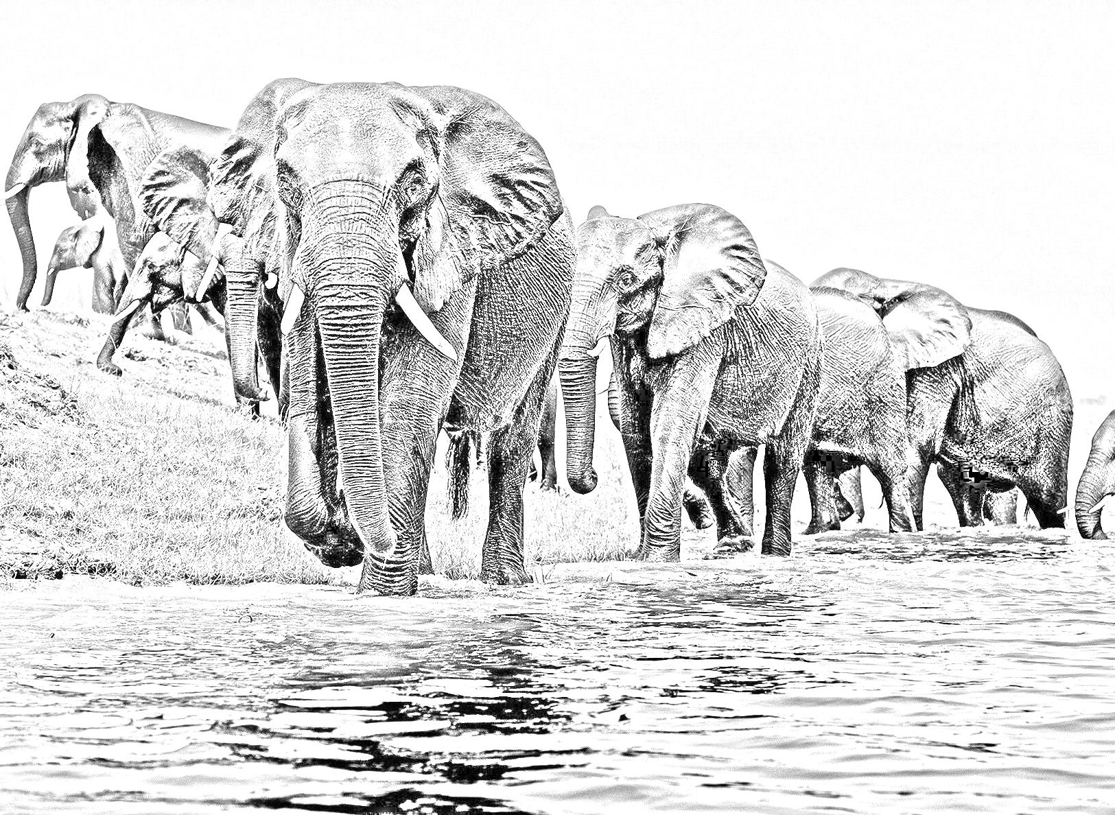 Image To Pencil Sketch With Just 2 Lines Of Code Rahul Prabhu Analytics Vidhya