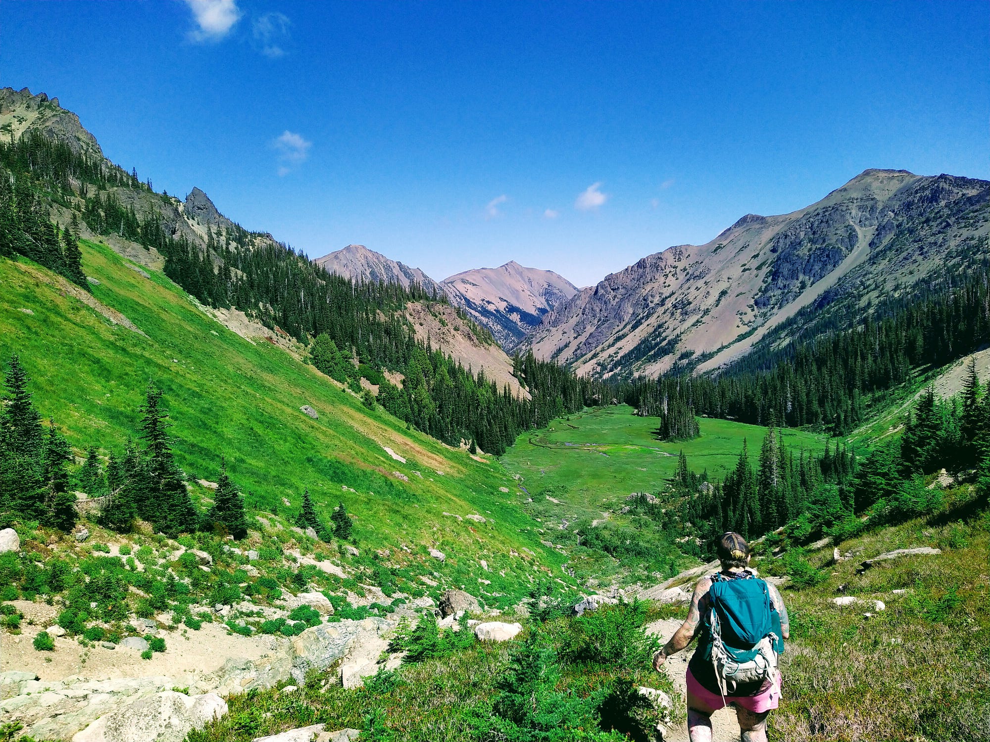 A hiker negotiates a trail in the Royal Basin of the Olympic Mountains. (Naomi Gross)