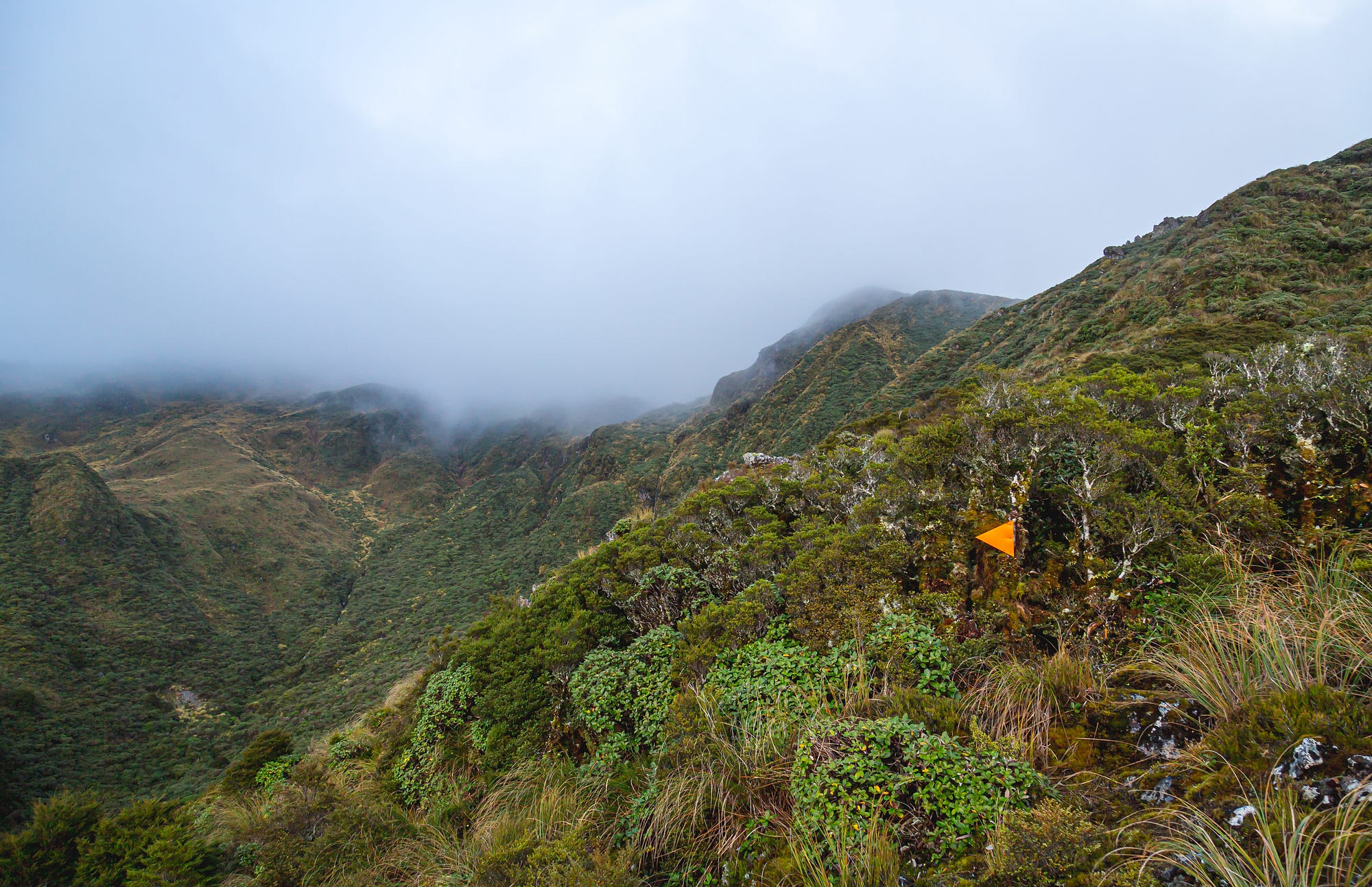 Bush-clad valley