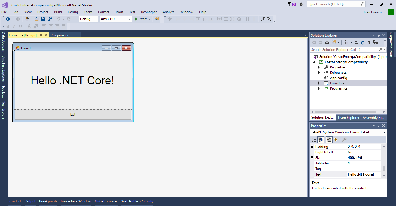 VS view WinForms