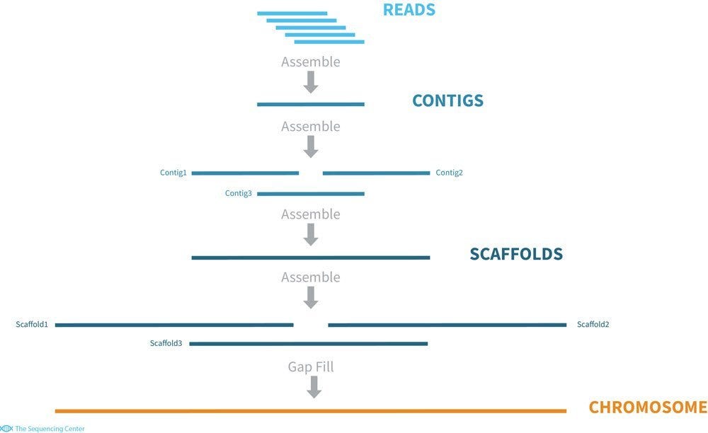 towards data science