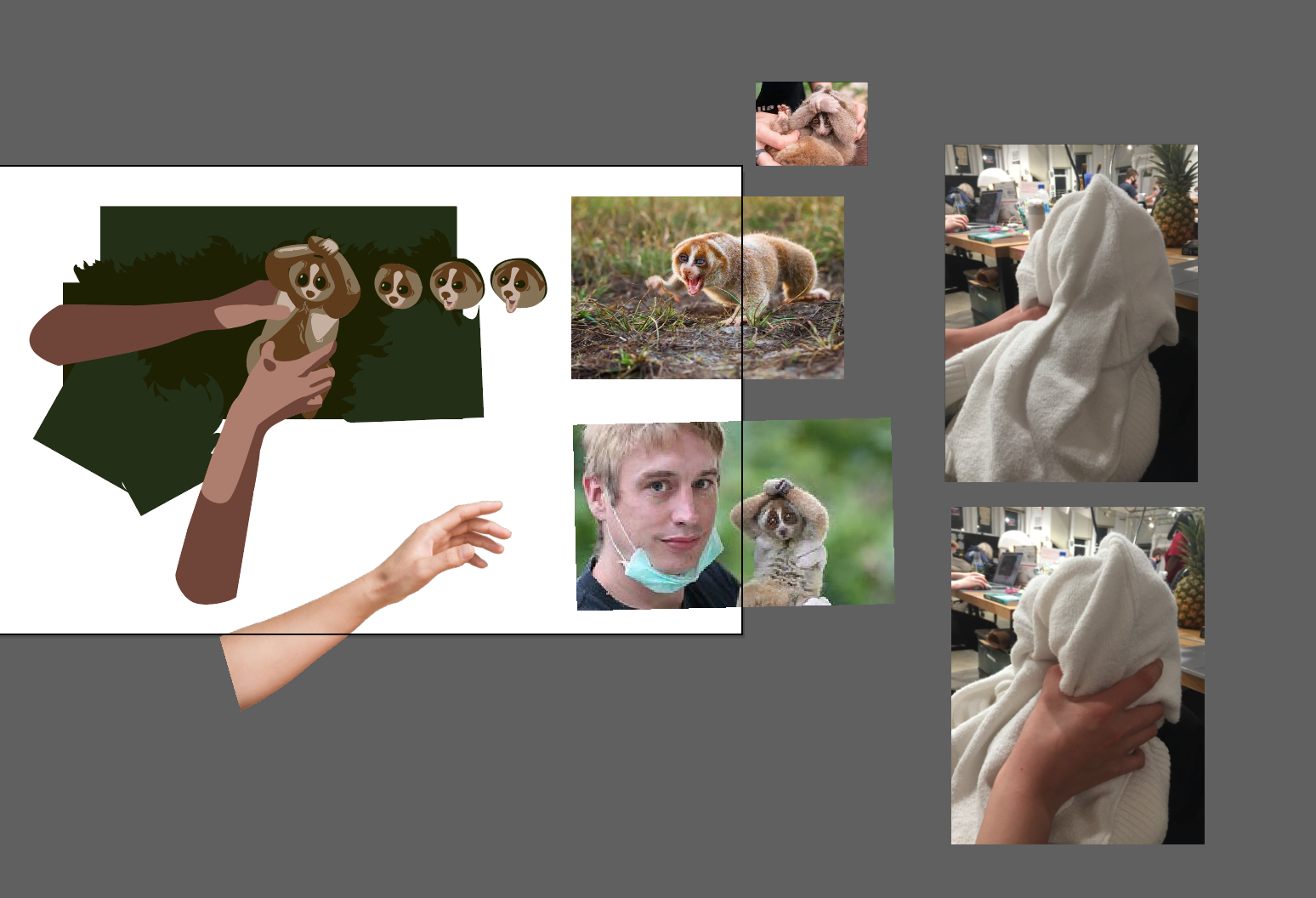 Animal Project Part 3. 3/29/21: Storyboarding | by Catherine Liu | Medium