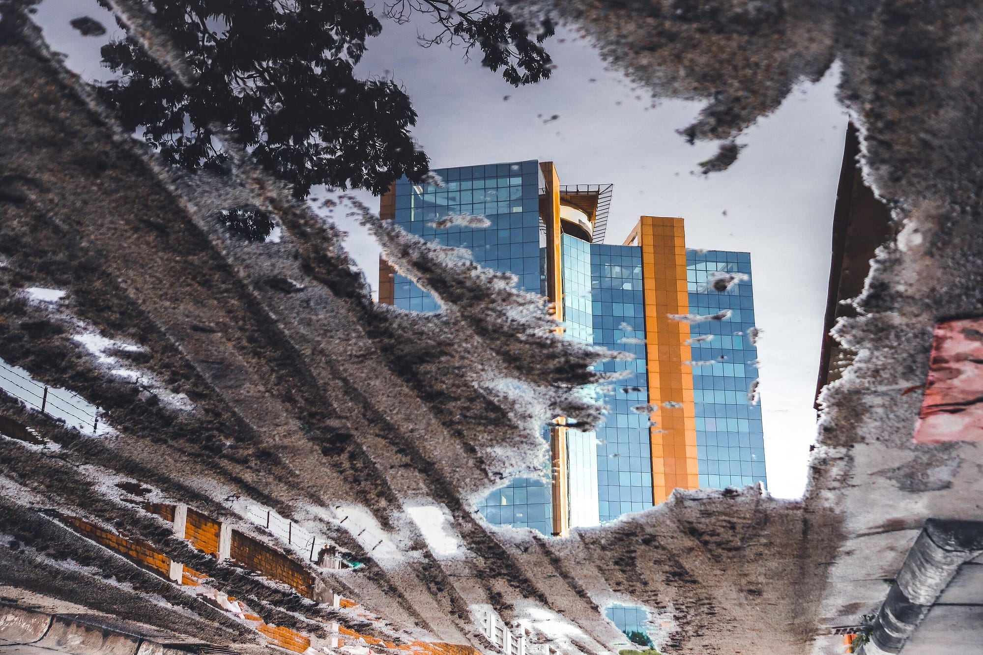 So what have you been up to? Hoodoo Digital 2020 Reflection