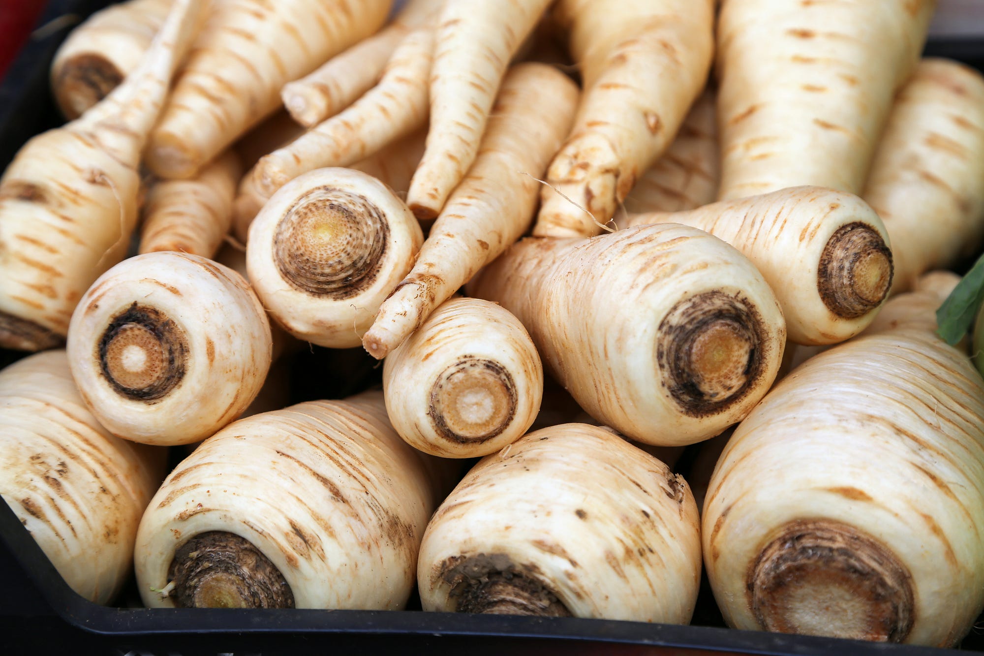 A pile of parsnips.