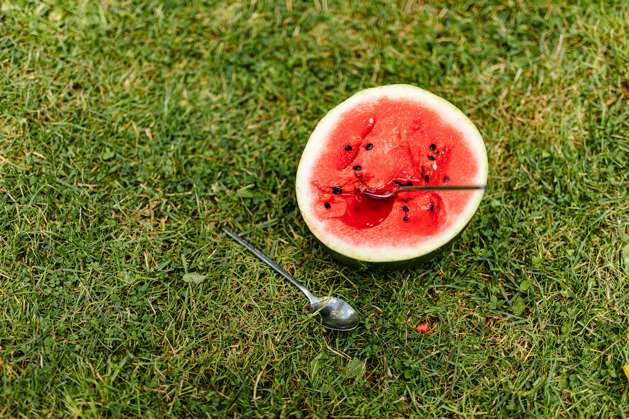 An half watermelon setting on green grass. One spoon is in the red flesh. Another spoon lays beside the watermelon. There are black seeds in the watermelon.