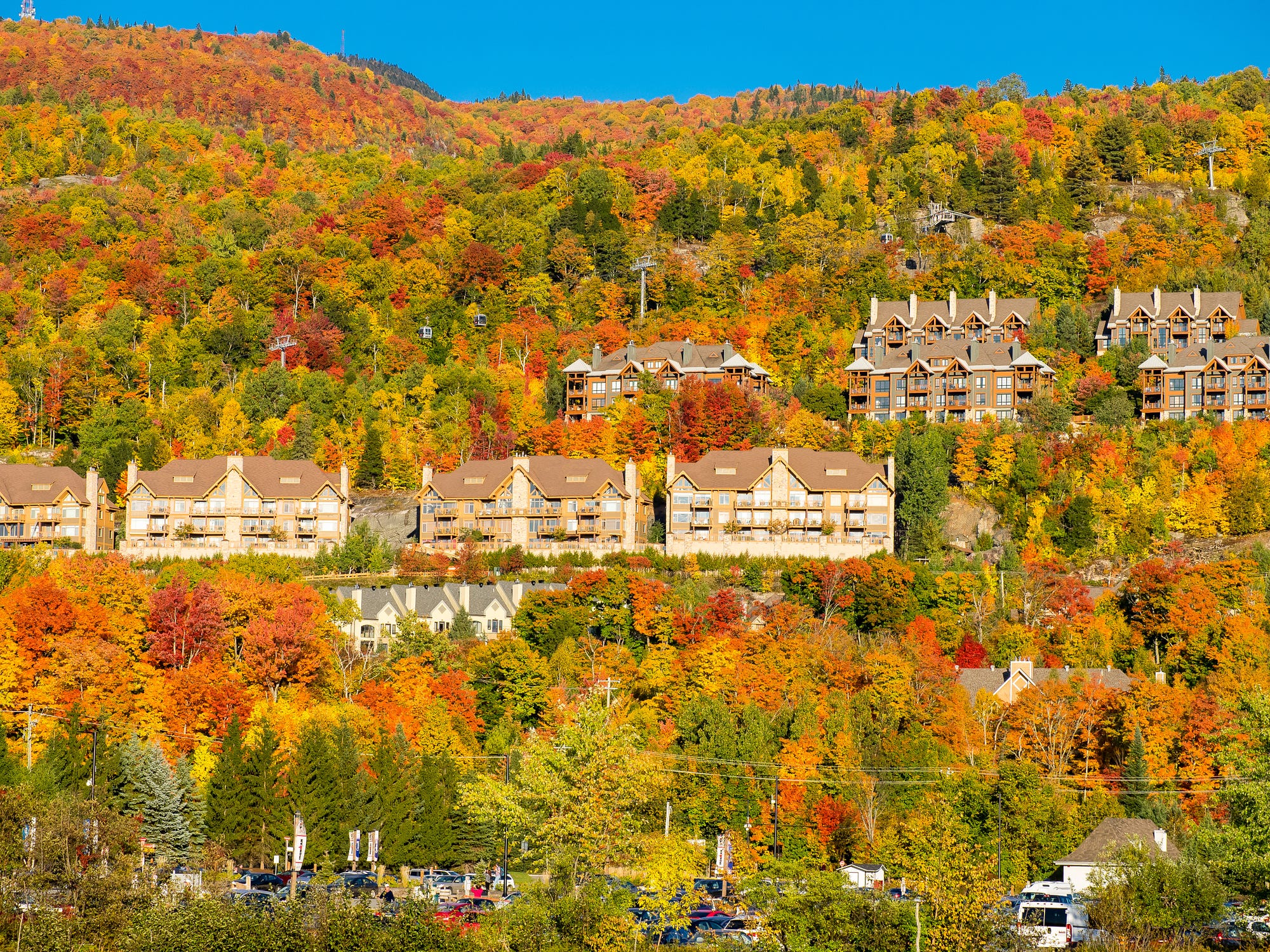 壮大なスケール 一生に一度は見たい世界の紅葉絶景はココだ 11月といえば紅葉シーズン真っ只中ですね 週末に紅葉狩りに出かける方も多いのでは By N Crevia Tac Medium