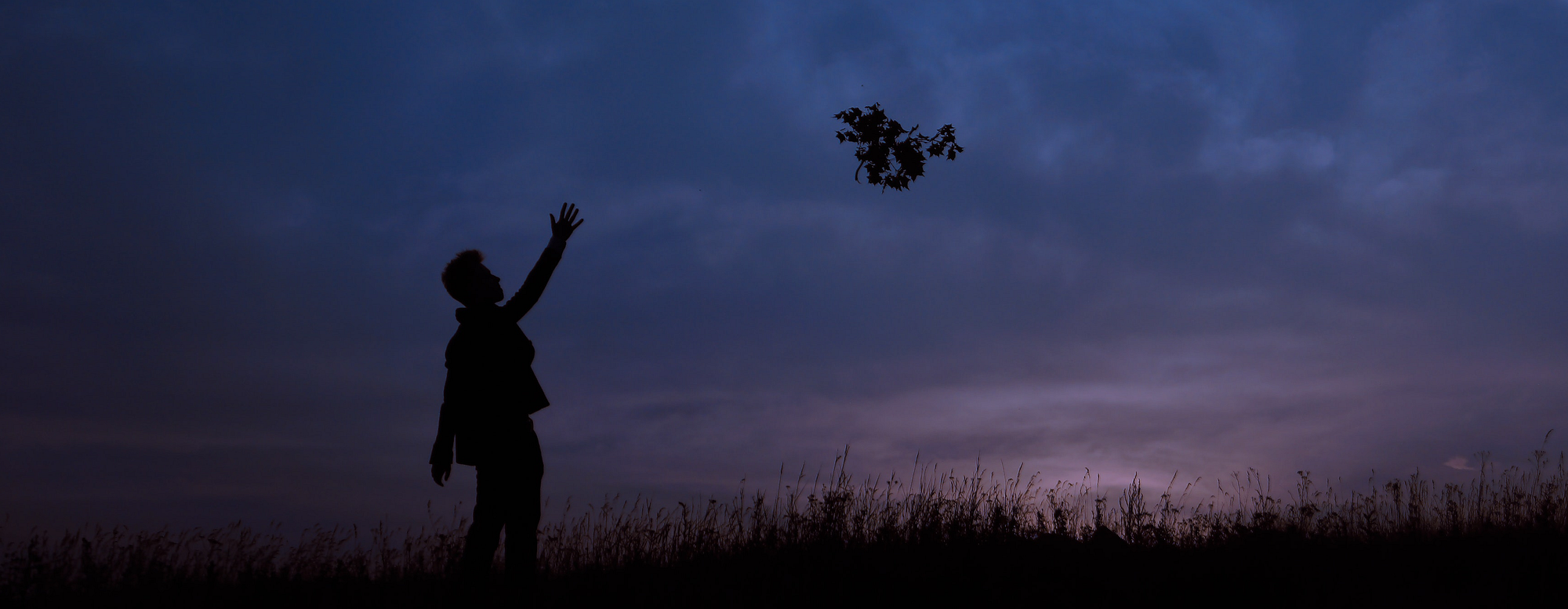 Why I Ditched Fetch. The Fetch API is a great interface for… | by Ivan ...