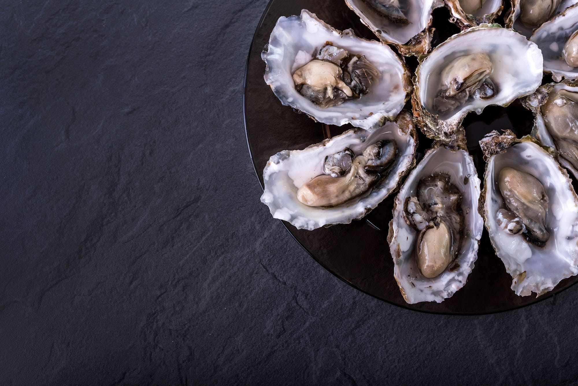 Oysters on the half shell