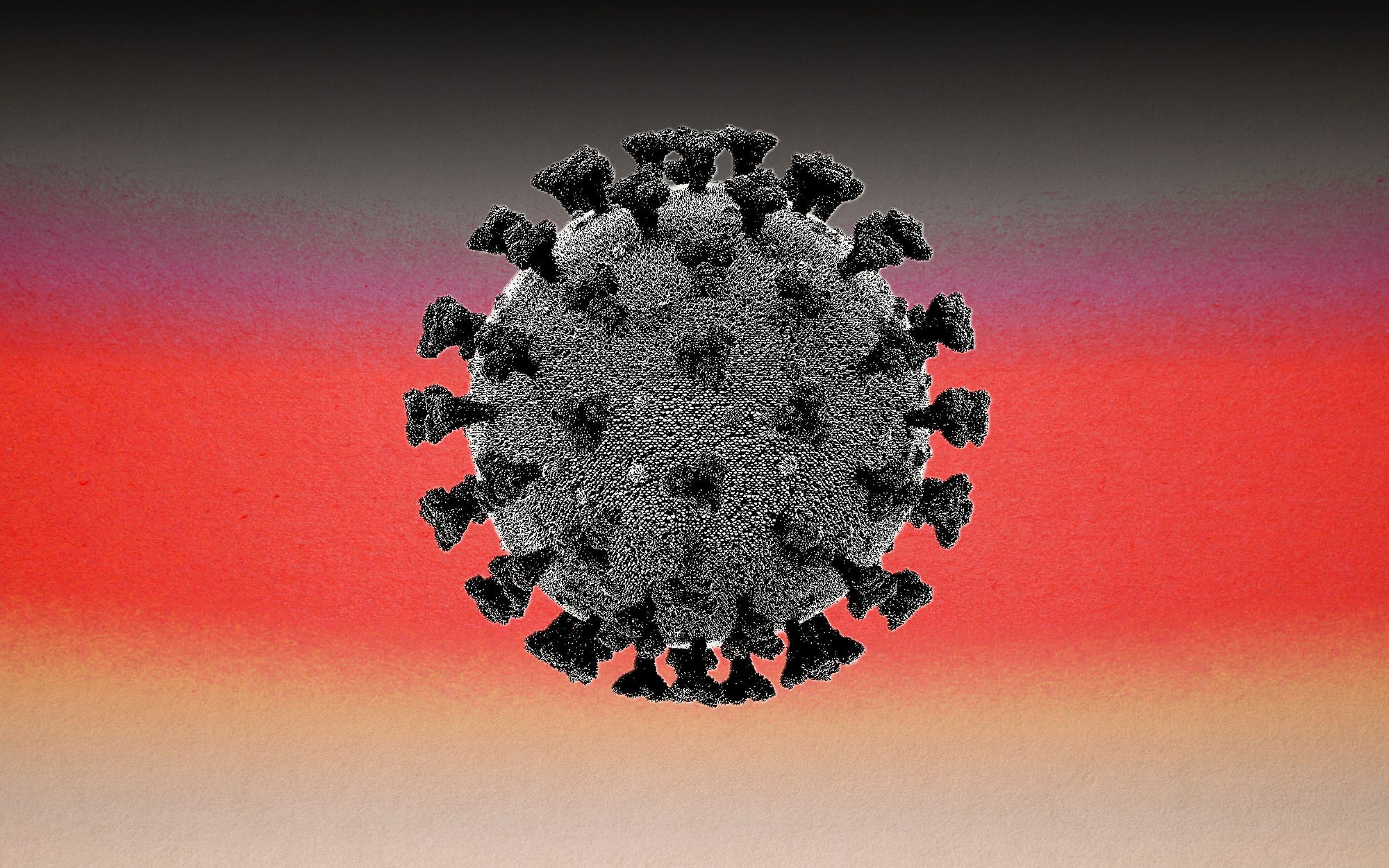 A photo of a black microscoped coronavirus against a black-red-cream gradient background.