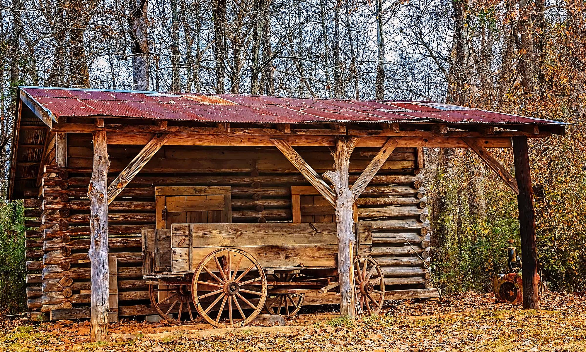 The legend of French Camp, Mississippi TumbleweedSOUTH Medium