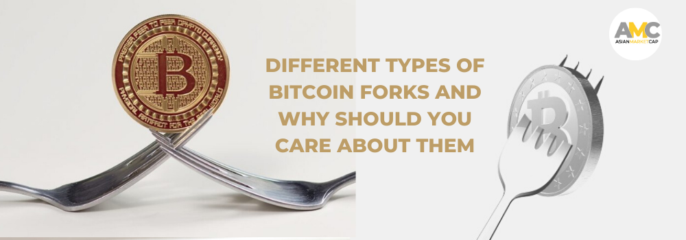 Different Types of Bitcoin Forks and Why Should You Care About Them | by AsianMarketCap Official ...