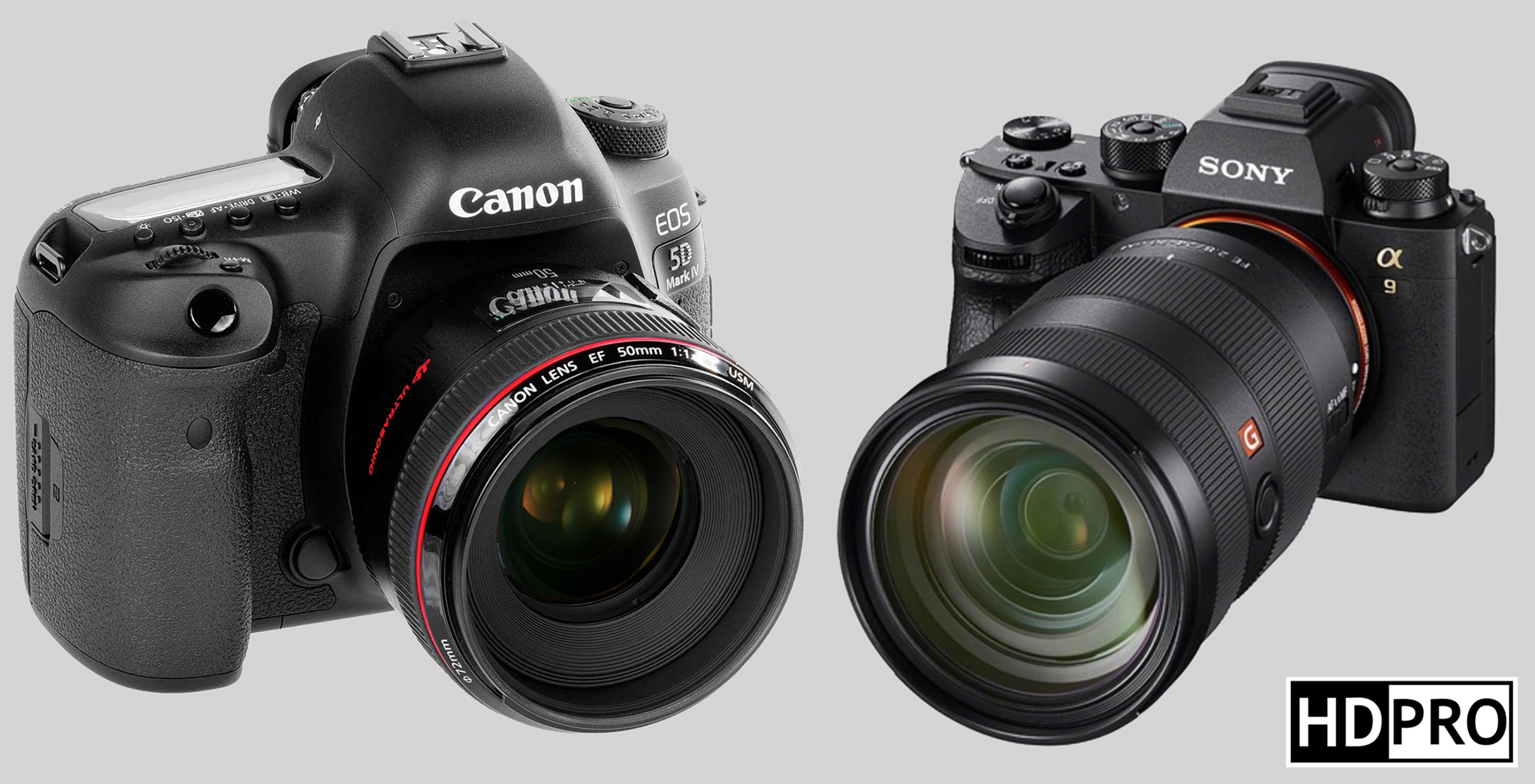 Can you use dslr lenses on mirrorless camera