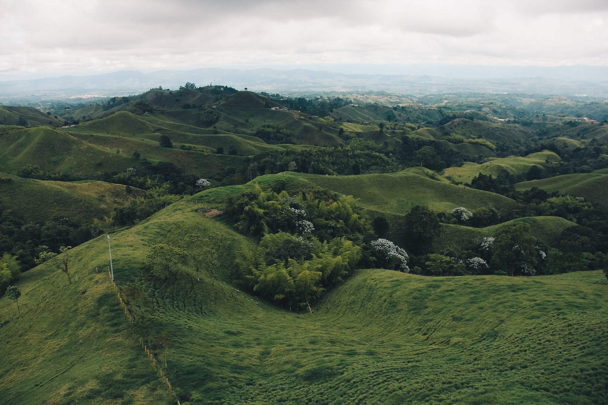 Eje Cafetero, Colombia. A photo journey of the colorful coffee…  by 