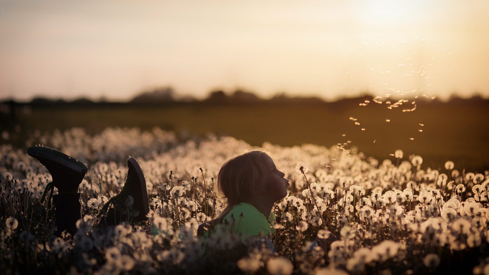 Girl in field of dandelions