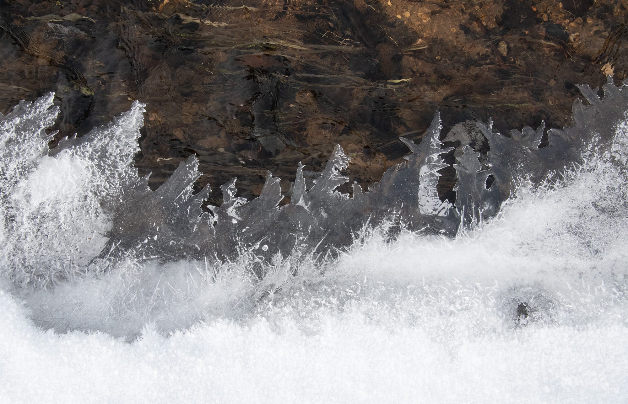 Very Nice Ice. Images from a frigid January morning | by Randy Fredlund ...