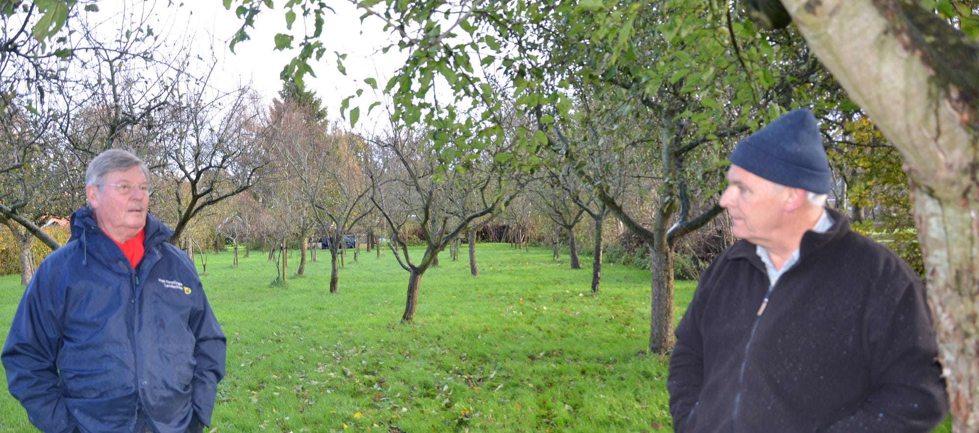 16. Great Apple+ Day with Harry van der Laan. Amateur notes from the