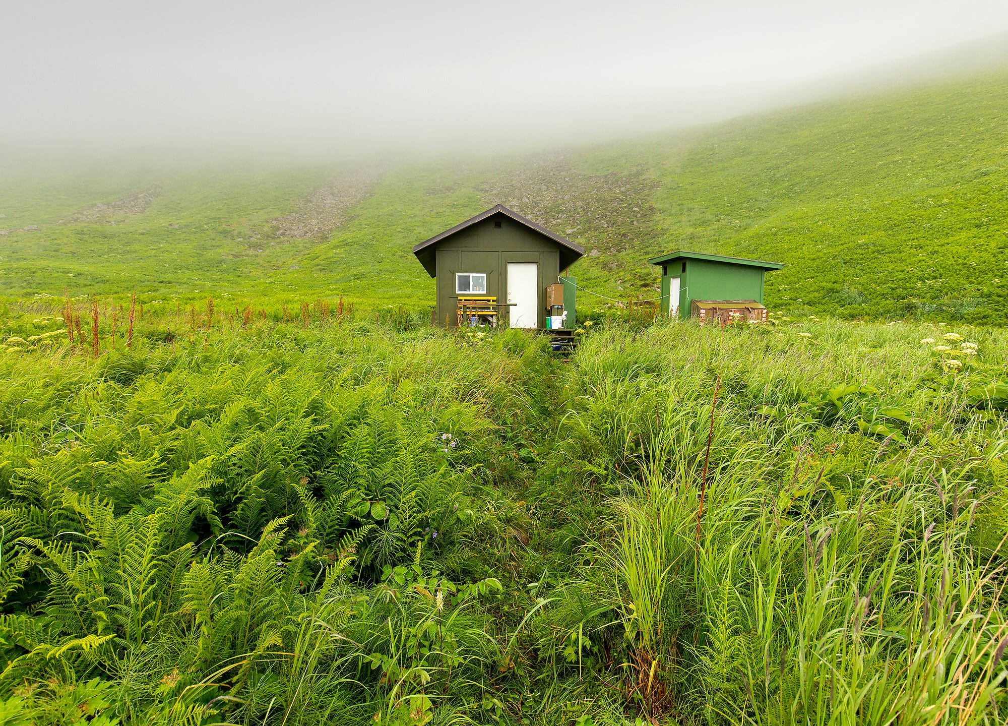 A small green cabin and shed sit in a field of green ferns with a low cloud ceiling covering the hill behind.