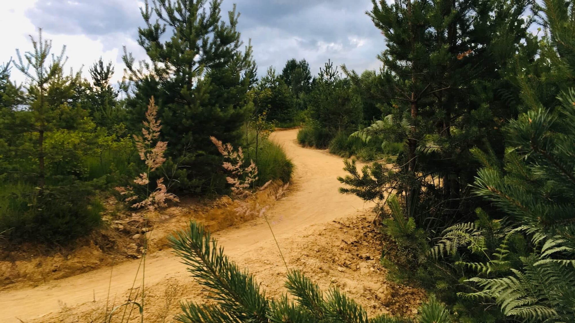 Dirt Dessert, Kranj, Slovenia