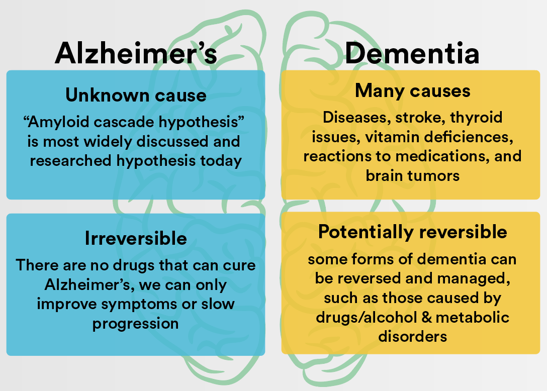 What Is The Difference Between Alzheimer S And Dementia By Aging In Beauty Aging In Beauty Medium