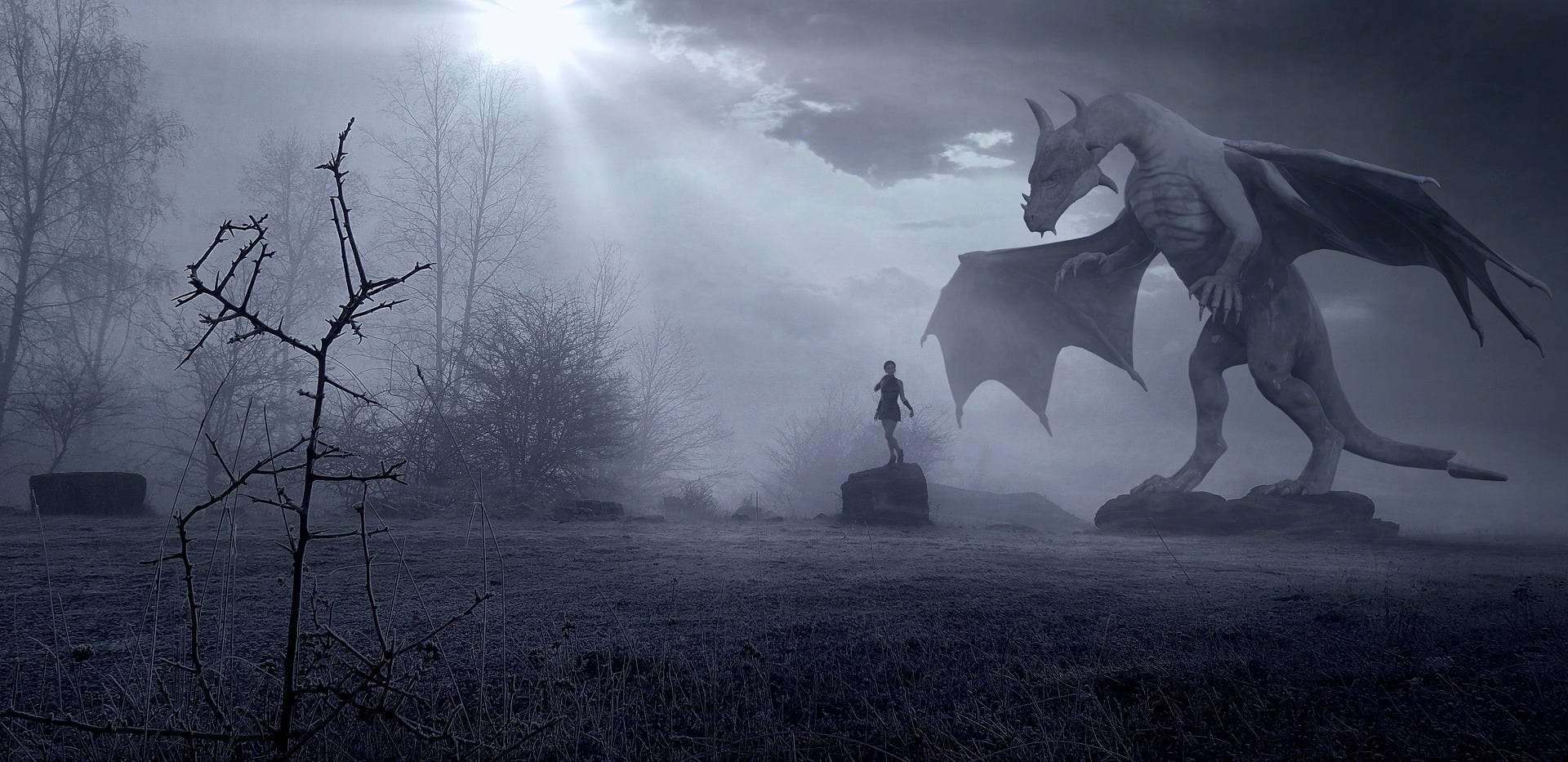 Cindy Heath - Medium