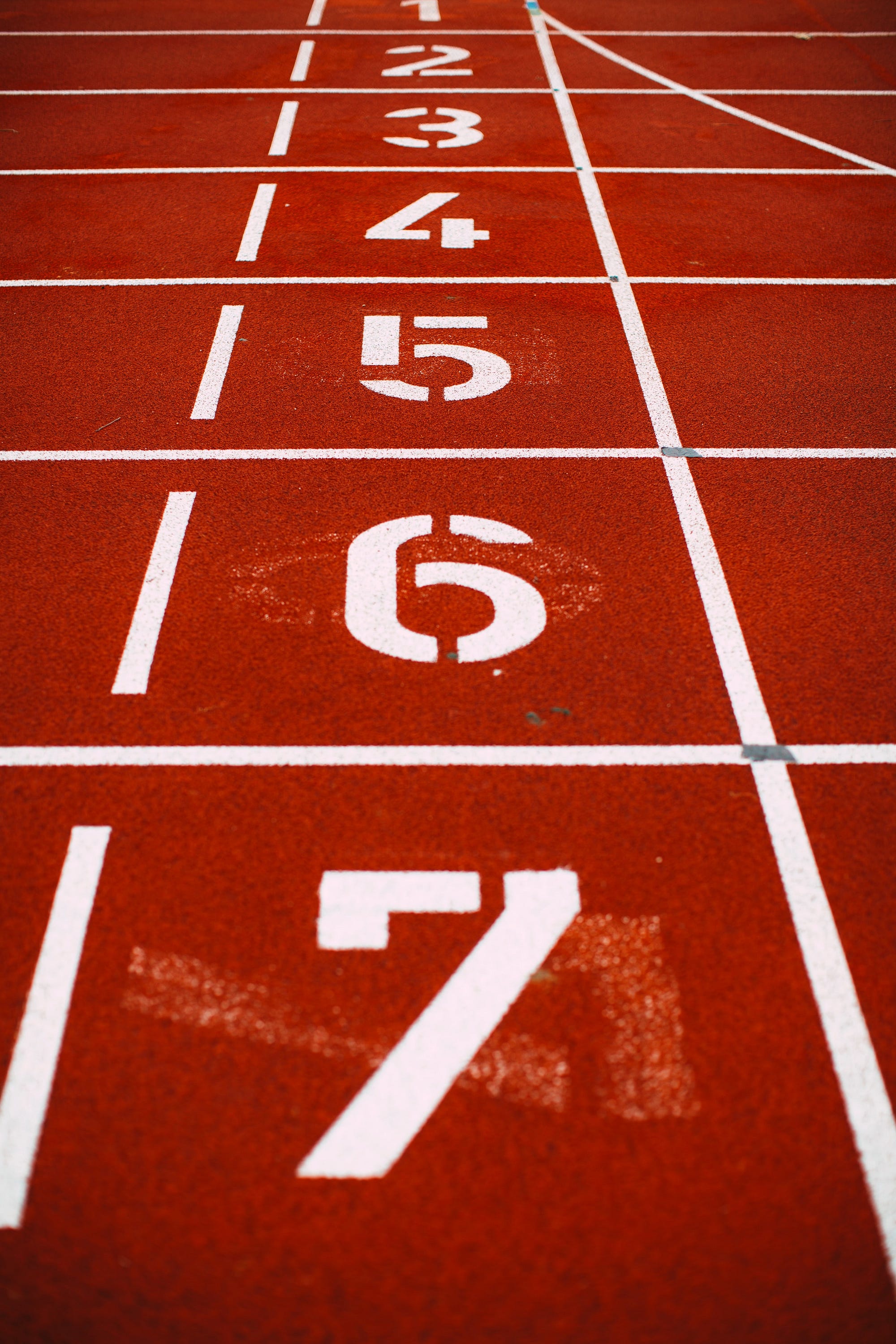 Photo of race track starting line, showing numbered positions from 1 to 7.