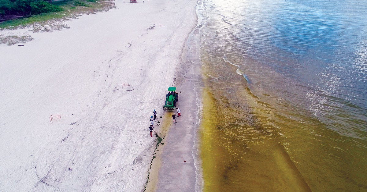 Photo of beach.