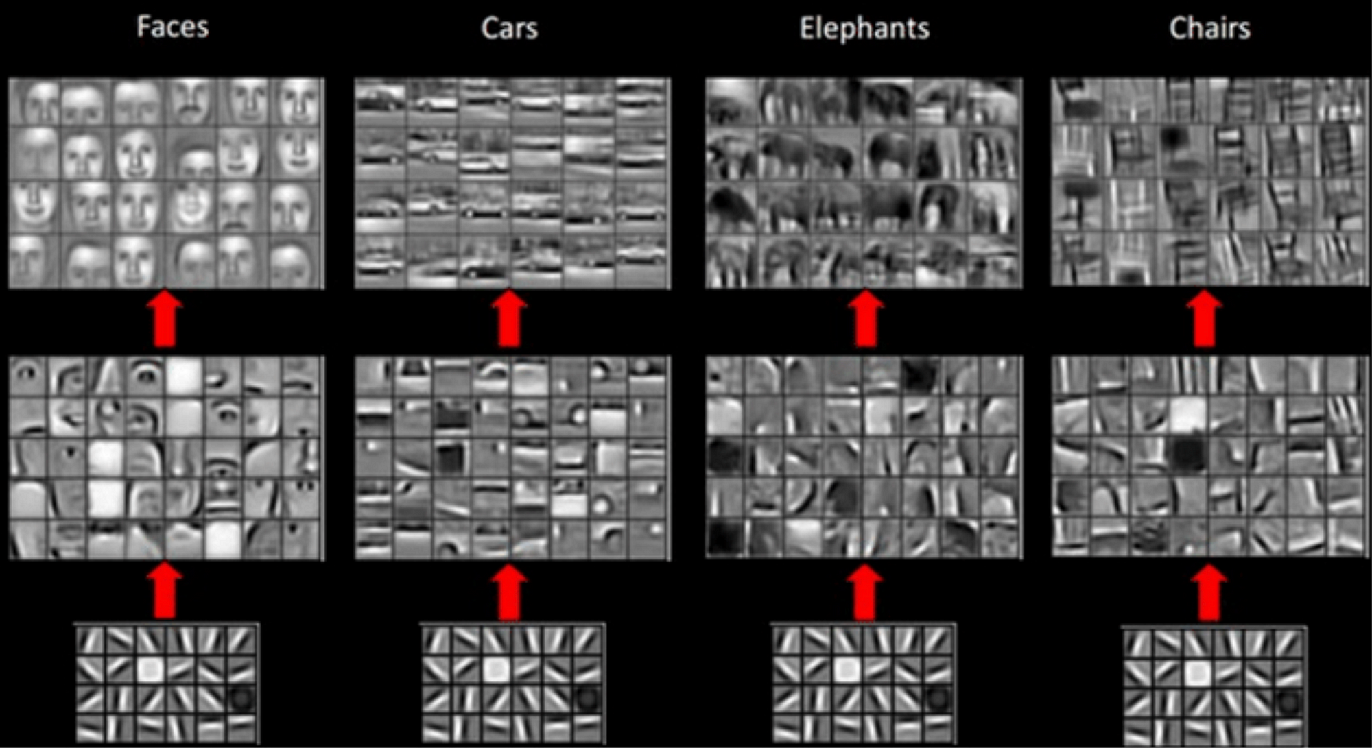 Advanced Topics in Deep Convolutional Neural Networks