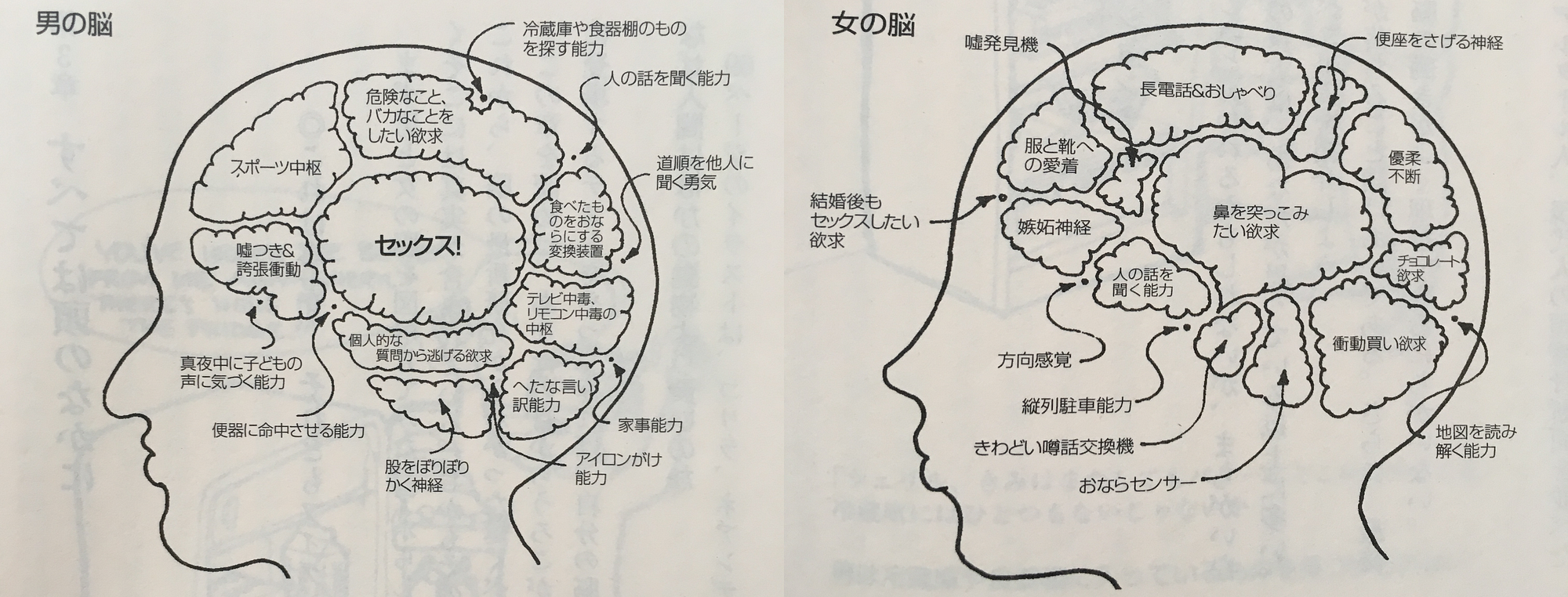 男女脳 の違い なぜここまですれ違うのか 人間と人工知能 By 里 優裕 Ysuke Sato Sales Technology Lab