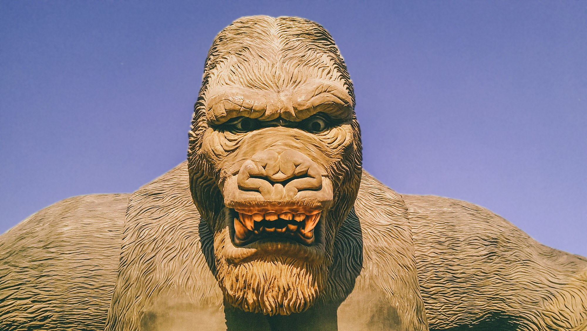 How Godzilla Vs Kong Is Breaking Warner Bros Viewership Records Cinemania