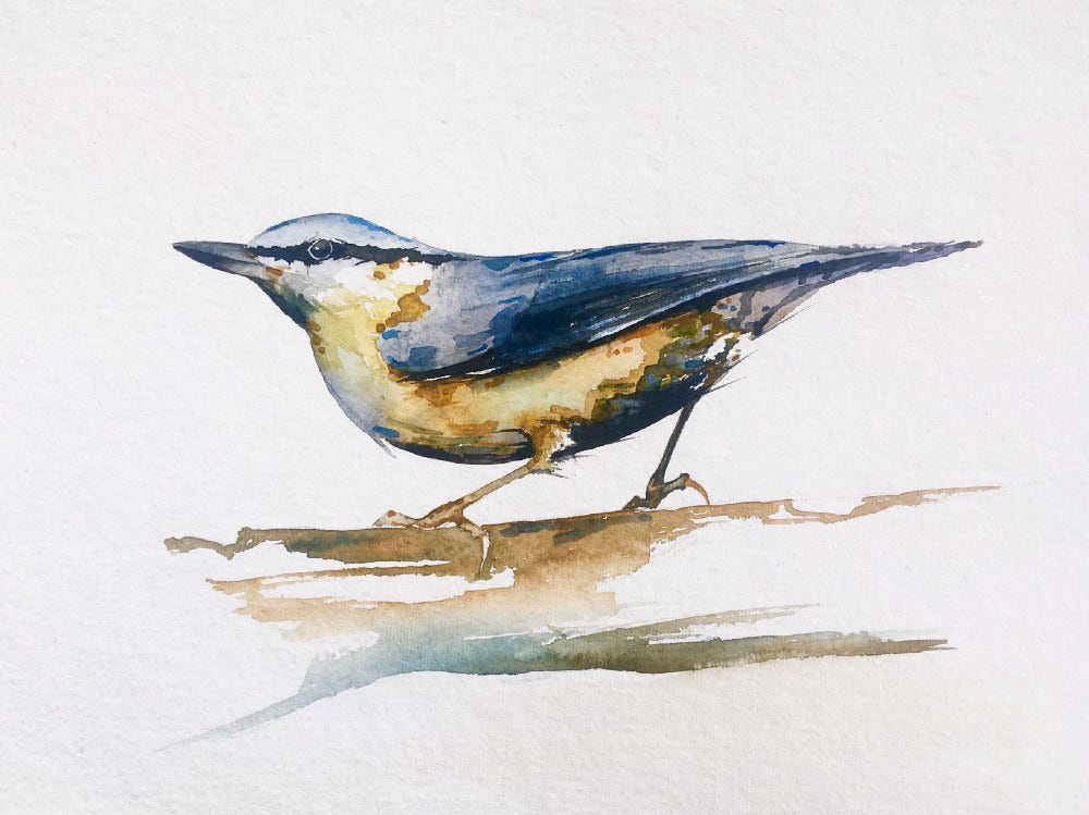 Bird Watercolor Painting Tutorial | by Christopher P Jones | Medium