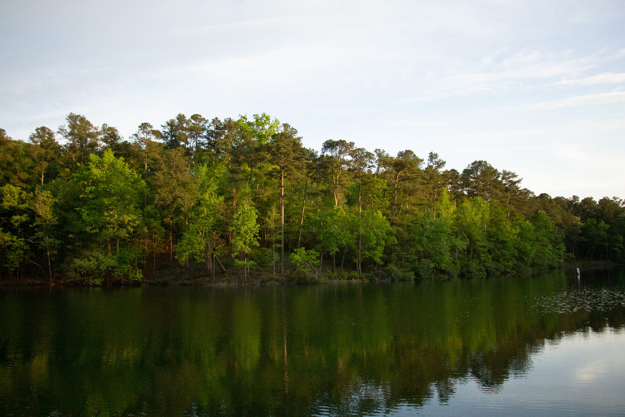 Cliffs of the Neuse State Park. By Emily McIntosh by NC Department of