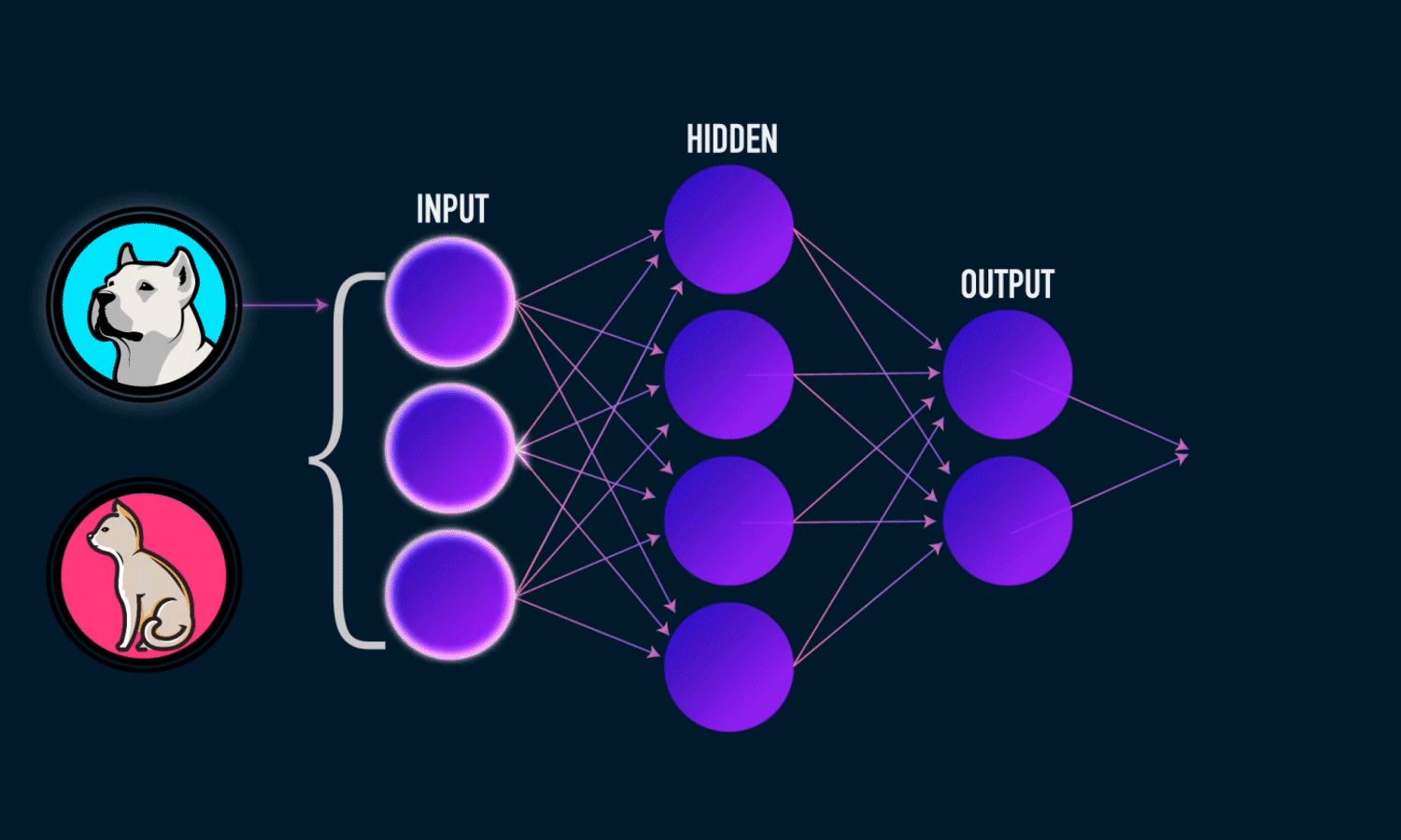 picture Neural Networks Gif visualizing artificial neural networks