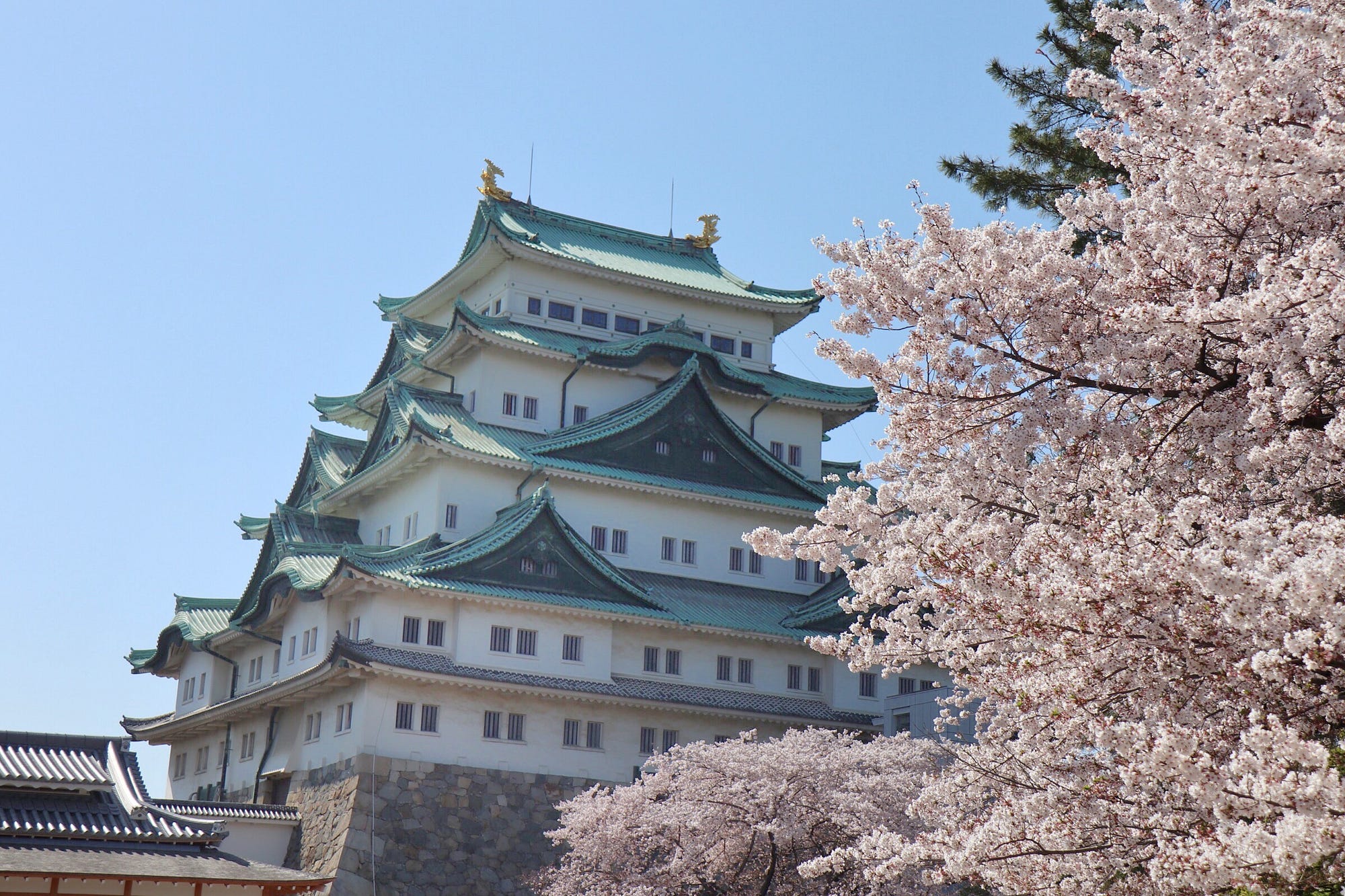 名古屋是日本第三大都會區 生活機能非常完善 從百貨公司到商店街到鄉村都有 物價在日本中也不算貴 天氣除了冬天微冷外 我去的那年暖冬只下兩次雪 四季分明 跟東京比起來也沒那麼乾燥 極適合人居 Jh Medium 名古屋是日本第三大都會區 生活機能非常完善 從百貨公司到商店街到鄉村都有 物價在日本中也不算貴 天氣除了冬天微冷外 我去的那年暖冬只下兩次雪 四季分明 跟東京比起來也沒那麼乾燥 極適合人居 Jh Medium