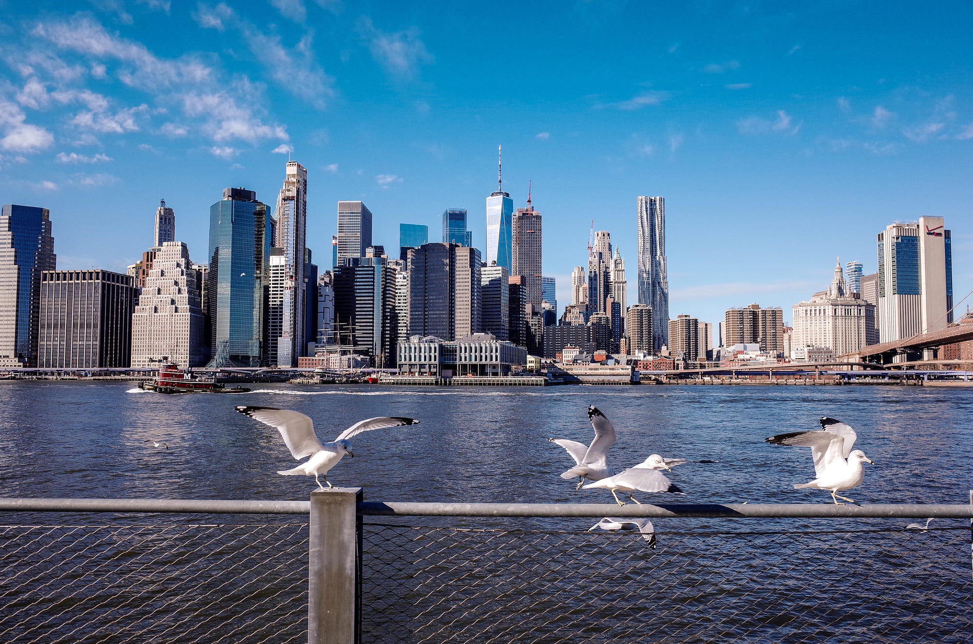 美國 紐約在哪裡 世界的私語 Medium