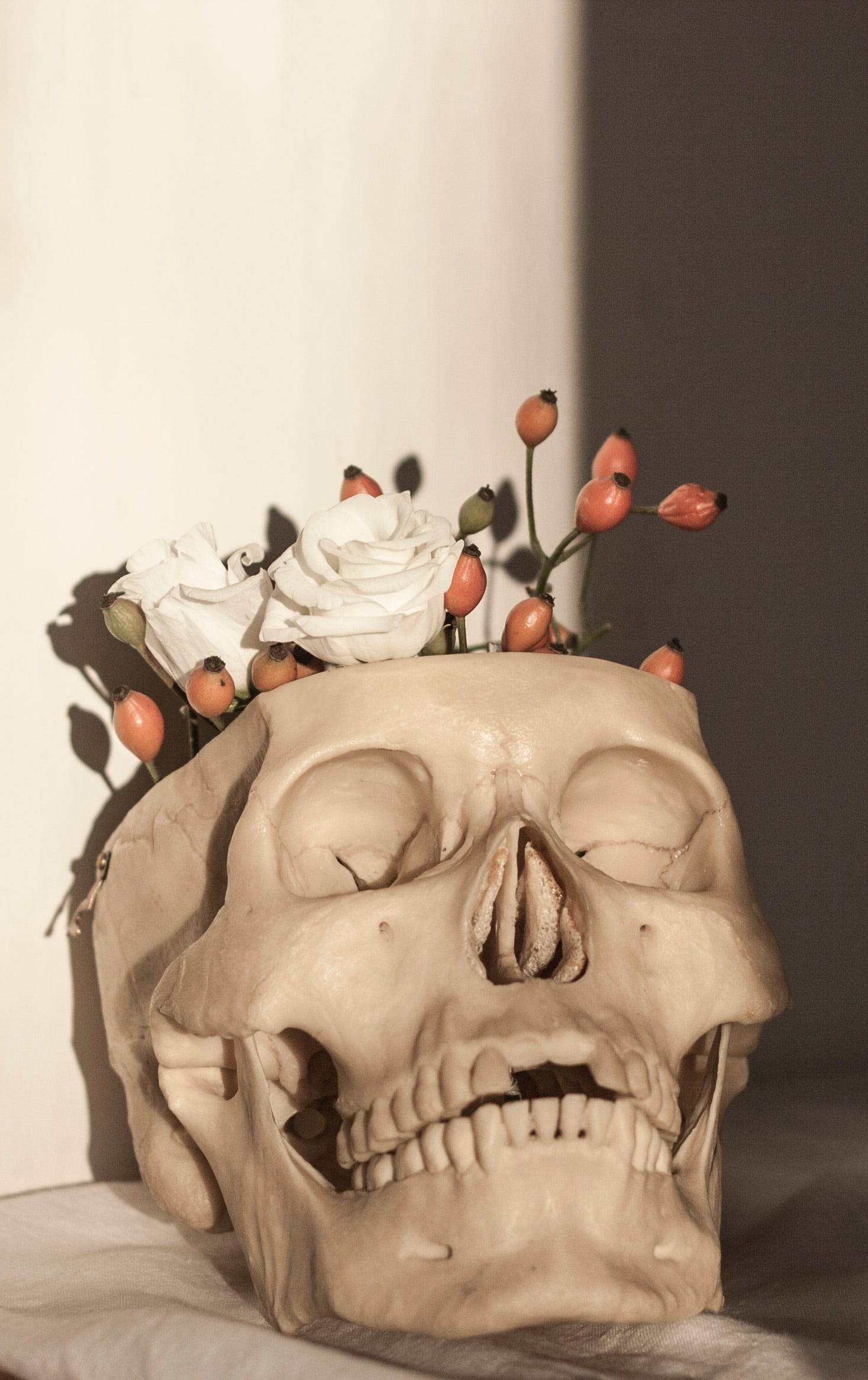 Life Death Still Life Photography For My Art By Anna Mayer Am Portfolio Medium Life Death Still Life Photography For My Art By Anna Mayer Am Portfolio Medium
