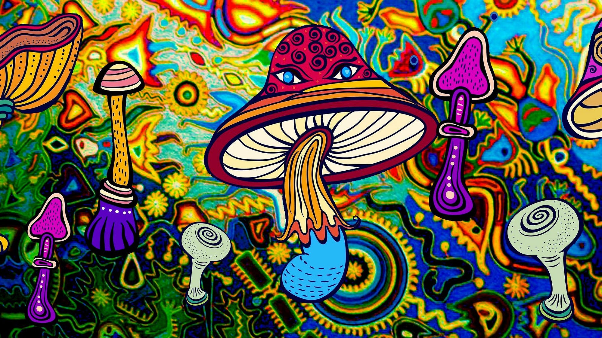 Philanthropy Psychedelics And Effective Altruism By Marc Gunther The Psychedelic Renaissance Medium