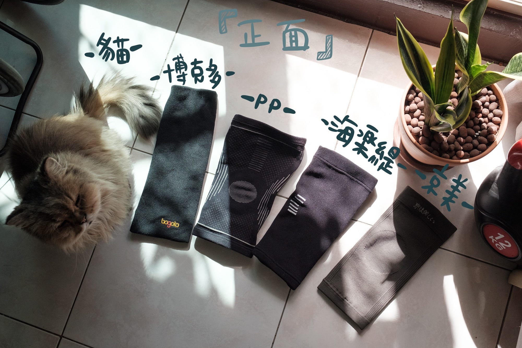 貓/博克多恢復套/PP護膝/海樂緹護膝/京美護膝