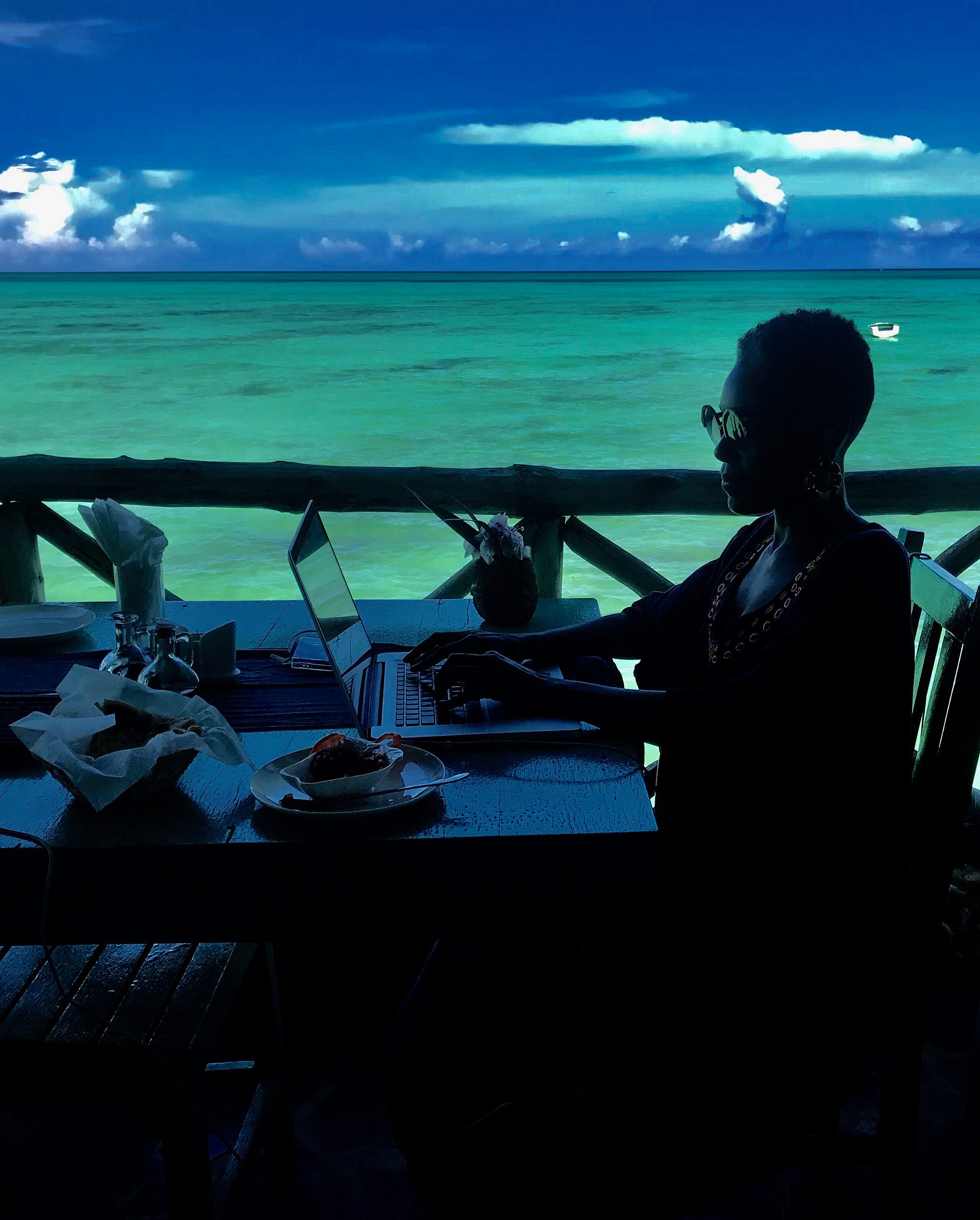 Photo of the author working on her laptop aloft the Indian Ocean.