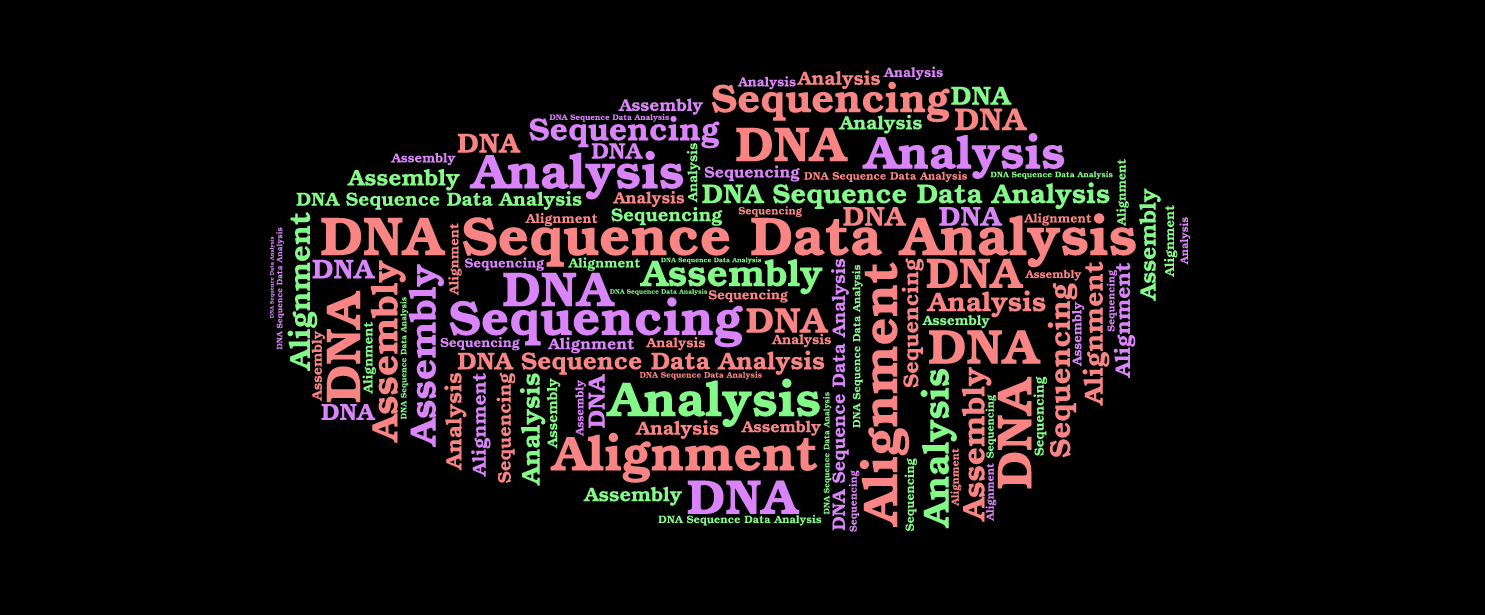 towards data science