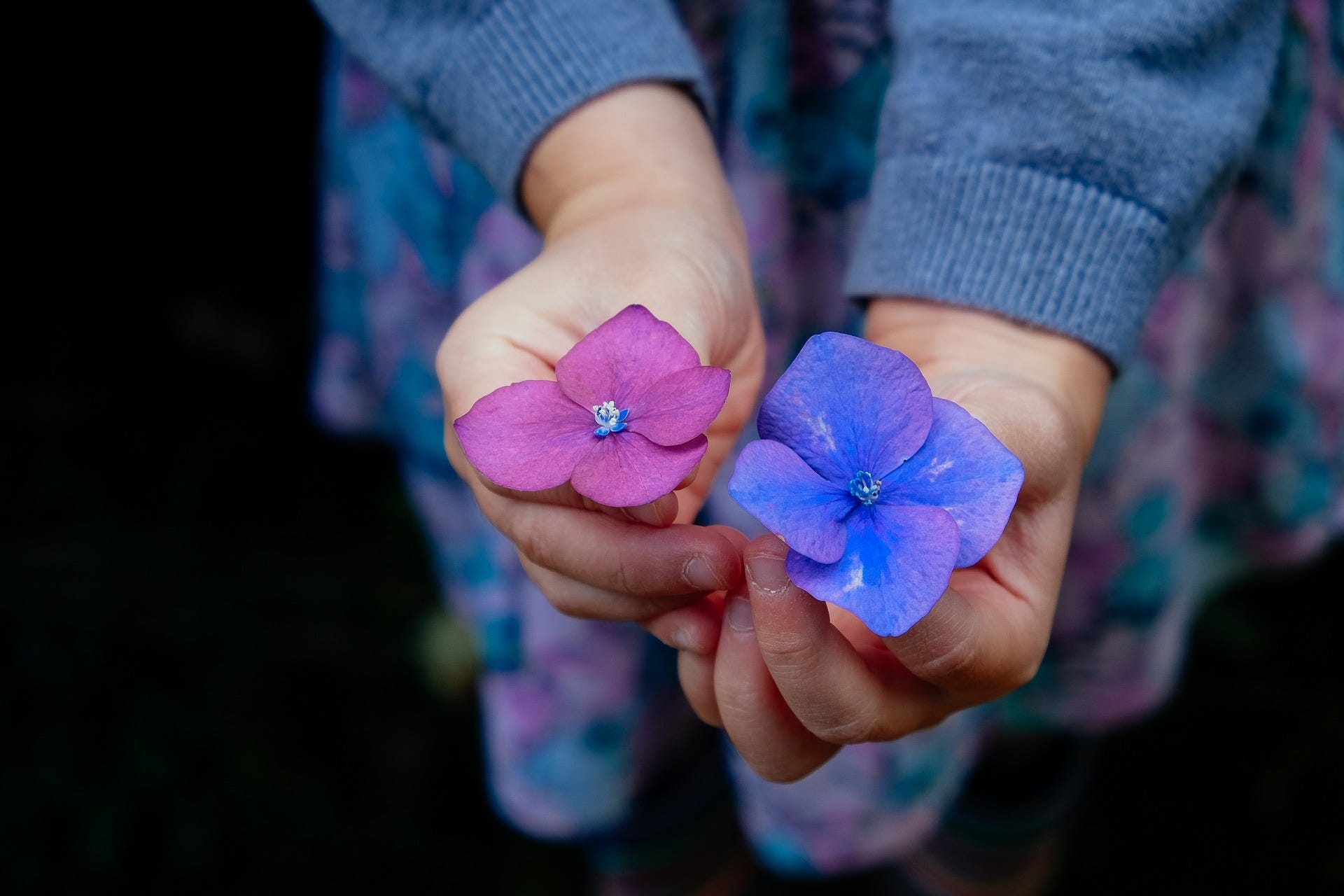 Weekly Roundup Of Bliss KTHT Luminous Content Week 9 13 By Diana