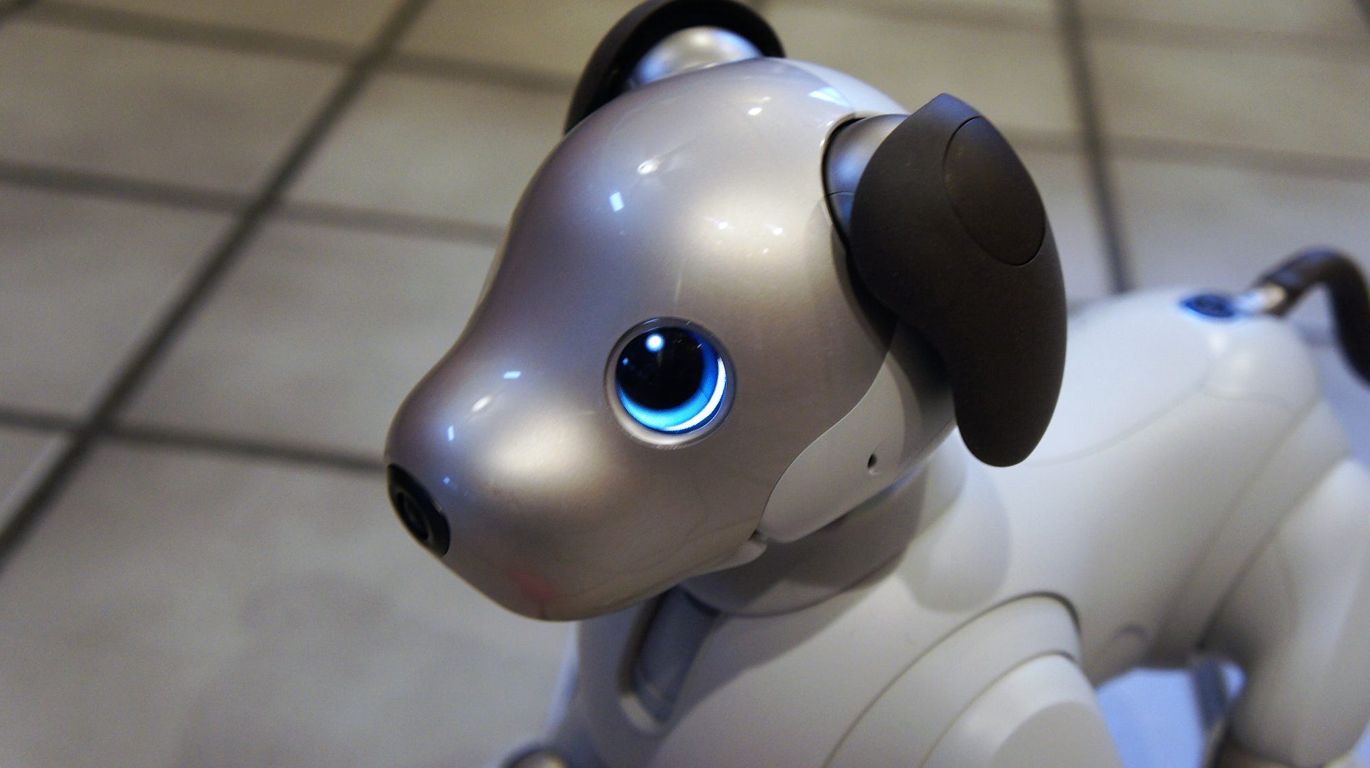 My Robot Dog is Better Than Your Dog | by Lance Ulanoff | Medium