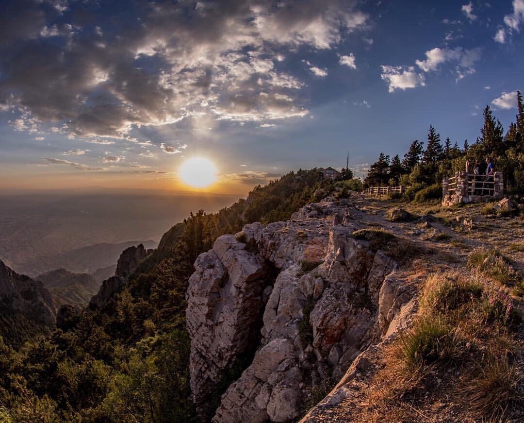 G Vonni Avner Medium g vonni avner medium