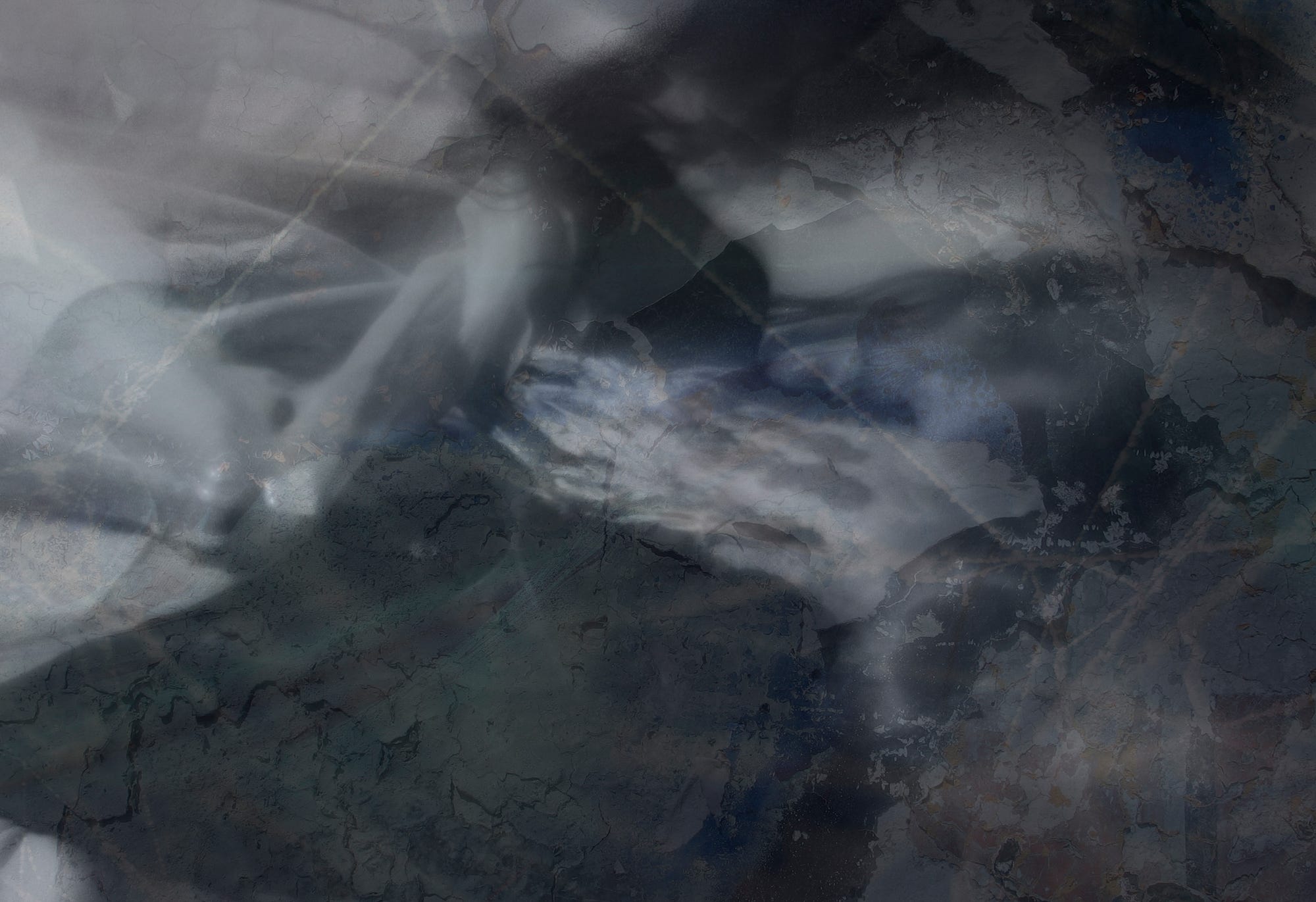 Abstract, textured image that includes a woman’s profile and bone-like structures in a muted palette of black, gray and blue.