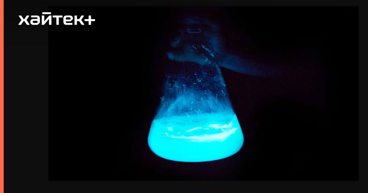 1*oRB8rdNWt 1Rr7p0392lQg Люминесцентные деревья как фонари будущего