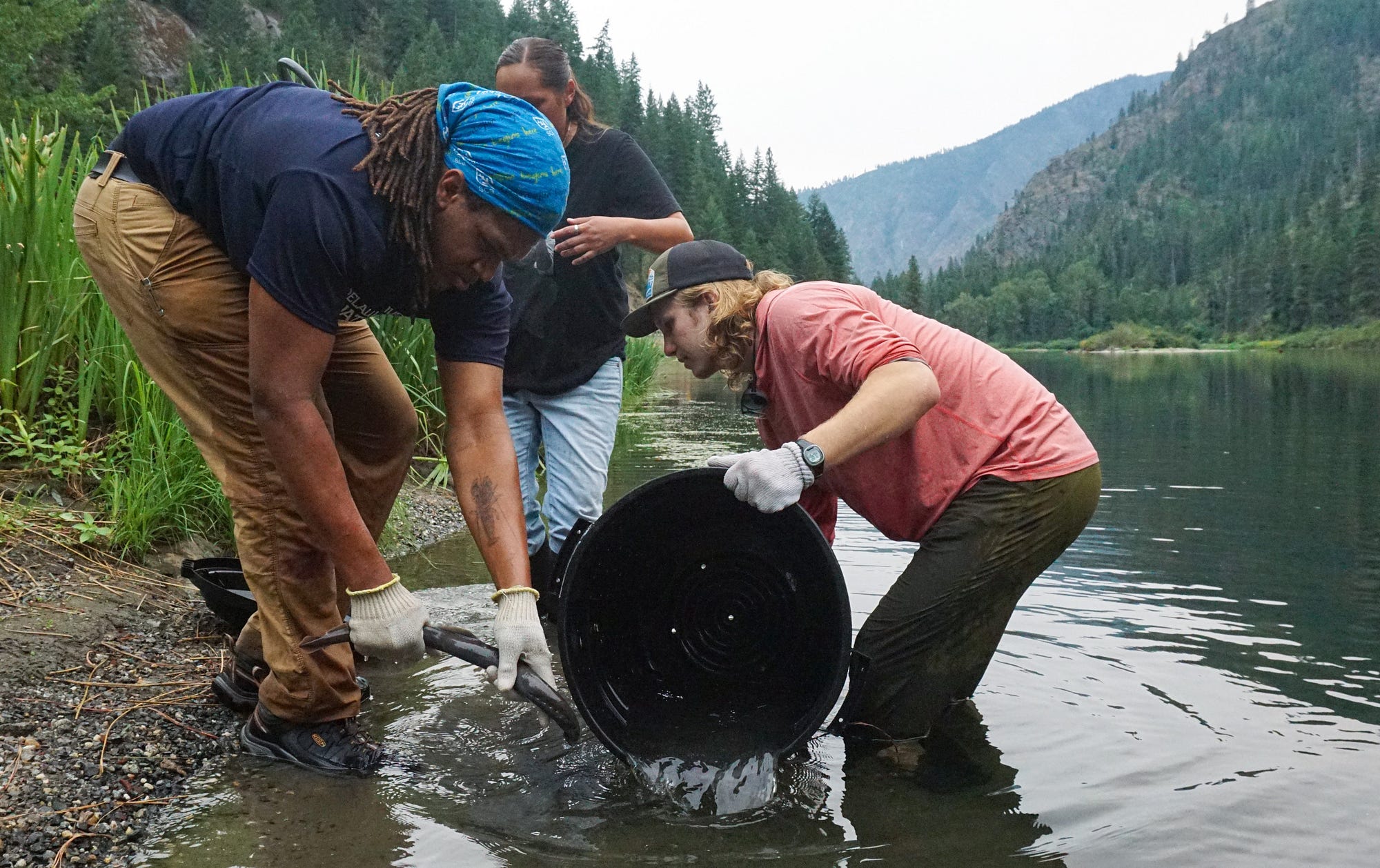 The Yakama Nation Fisheries and Fish and Wildlife Service staff release the last of the Pacific lamprey into the upper Wenatchee River. Photo by Sarah Ortiz / USFWS