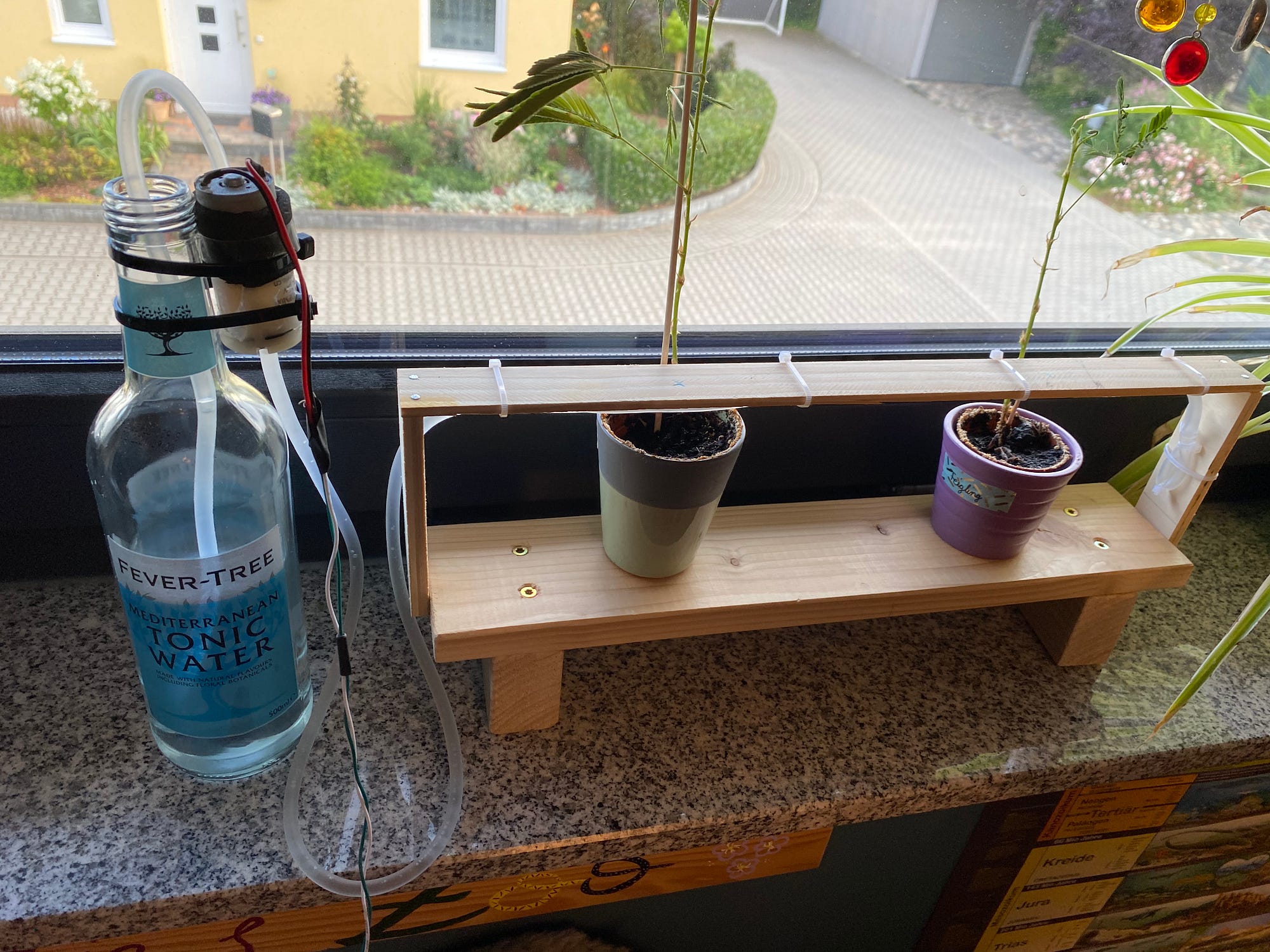 Plant Watering